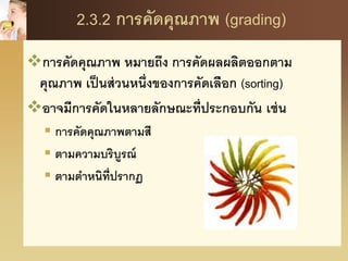 2.3.2 การคัดคุณภาพ (grading)
การคัดคุณภาพ หมายถึง การคัดผลผลิตออกตาม
คุณภาพ เป็นส่วนหนึ่งของการคัดเลือก (sorting)
อาจมีการคัดในหลายลักษณะที่ประกอบกัน เช่น
 การคัดคุณภาพตามสี
 ตามความบริบูรณ์
 ตามตาหนิที่ปรากฏ
 