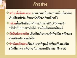 ตัวอย่าง
ลาไย ลิ้นจี่และเงาะ จะออกผลเป็นช่อ การเก็บเกี่ยวต้อง
เก็บเกี่ยวทั้งช่อ ต้องมานาคัดแก่อ่อนอีกครั้ง
กล้วยทั้งเครือมีขนาดใหญ่เกินกว่าที่ผู้บริโภคจะนา
กลับไปรับประทานไม่ได้ จาเป็นต้องแบ่งเป็นหวี
ผักรับประทานใบ เมื่อเก็บเกี่ยวมาแล้วต้องมีการตัดแต่ง
ส่วนที่รับประทานไม่ได้
ข้าวโพดฝักอ่อนตัดแต่งมากที่สุดเมื่อเทียบกับผลผลิต
ชนิดอื่น เพราะต้องเอาไหมและเปลือกออกถึง 80%
 