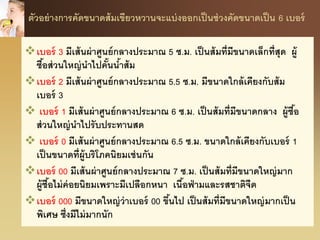 ตัวอย่างการคัดขนาดส้มเขียวหวานจะแบ่งออกเป็นช่วงคัดขนาดเป็น 6 เบอร์
เบอร์ 3 มีเส้นผ่าศูนย์กลางประมาณ 5 ซ.ม. เป็นส้มที่มีขนาดเล็กที่สุด ผู้
ซื้อส่วนใหญ่นาไปคั้นน้าส้ม
เบอร์ 2 มีเส้นผ่าศูนย์กลางประมาณ 5.5 ซ.ม. มีขนาดใกล้เคียงกับส้ม
เบอร์ 3
 เบอร์ 1 มีเส้นผ่าศูนย์กลางประมาณ 6 ซ.ม. เป็นส้มที่มีขนาดกลาง ผู้ซื้อ
ส่วนใหญ่นาไปรับประทานสด
 เบอร์ 0 มีเส้นผ่าศูนย์กลางประมาณ 6.5 ซ.ม. ขนาดใกล้เคียงกับเบอร์ 1
เป็นขนาดที่ผู้บริโภคนิยมเช่นกัน
เบอร์ 00 มีเส้นผ่าศูนย์กลางประมาณ 7 ซ.ม. เป็นส้มที่มีขนาดใหญ่มาก
ผู้ซื้อไม่ค่อยนิยมเพราะมีเปลือกหนา เนื้อฟ่ามและรสชาติจืด
เบอร์ 000 มีขนาดใหญ่ว่าเบอร์ 00 ขึ้นไป เป็นส้มที่มีขนาดใหญ่มากเป็น
พิเศษ ซึ่งมีไม่มากนัก
 