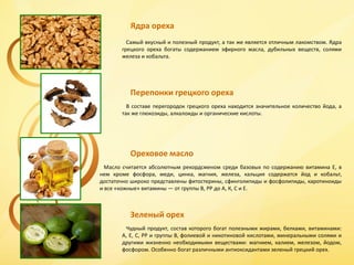 Поставки грецкого ореха | PPT