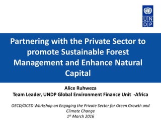 Alice Ruhweza
Team Leader, UNDP Global Environment Finance Unit -Africa
OECD/DCED Workshop on Engaging the Private Sector for Green Growth and
Climate Change
1st March 2016
Partnering with the Private Sector to
promote Sustainable Forest
Management and Enhance Natural
Capital
 