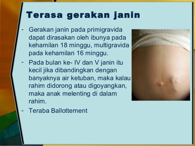 Berapa Hari Keputihan Tanda Hamil Berapa Hari Keputihan Tanda Hamil