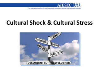 Cultural Shock & Cultural Stress
 