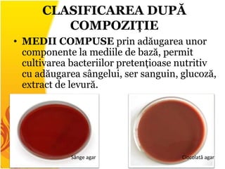 CLASIFICAREA DUPĂ
COMPOZIȚIE
• MEDII COMPUSE prin adăugarea unor
componente la mediile de bază, permit
cultivarea bacteriilor pretențioase nutritiv
cu adăugarea sângelui, ser sanguin, glucoză,
extract de levură.
Sânge agar Ciocolată agar
 