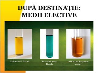 DUPĂ DESTINAȚIE:
MEDII ELECTIVE
 