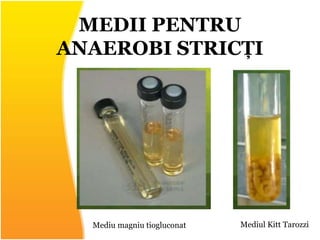 MEDII PENTRU
ANAEROBI STRICȚI
Mediu magniu tiogluconat Mediul Kitt Tarozzi
 