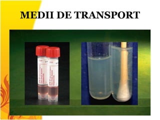 MEDII DE TRANSPORT
 
