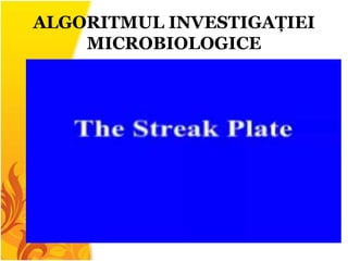 ALGORITMUL INVESTIGAȚIEI
MICROBIOLOGICE
 