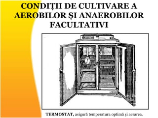 CONDIȚII DE CULTIVARE A
AEROBILOR ȘI ANAEROBILOR
FACULTATIVI
TERMOSTAT, asigură temperatura optimă și aerarea.
 