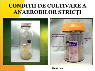 CONDIȚII DE CULTIVARE A
ANAEROBILOR STRICȚI
Gass Pak
 