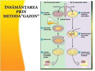 ÎNSĂMÂNȚAREA
PRIN
METODA”GAZON”
 