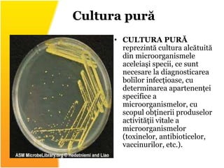 • CULTURA PURĂ
reprezintă cultura alcătuită
din microorganismele
aceleiași specii, ce sunt
necesare la diagnosticarea
bolilor infecțioase, cu
determinarea apartenenței
specifice a
microorganismelor, cu
scopul obținerii produselor
activității vitale a
microorganismelor
(toxinelor, antibioticelor,
vaccinurilor, etc.).
Cultura pură
 