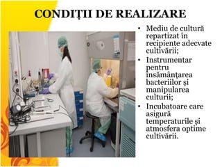 • Mediu de cultură
repartizat în
recipiente adecvate
cultivării;
• Instrumentar
pentru
însămânțarea
bacteriilor și
manipularea
culturii;
• Incubatoare care
asigură
temperaturile și
atmosfera optime
cultivării.
CONDIȚII DE REALIZARE
 