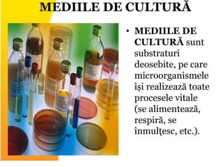 • MEDIILE DE
CULTURĂ sunt
substraturi
deosebite, pe care
microorganismele
își realizează toate
procesele vitale
(se alimentează,
respiră, se
înmulțesc, etc.).
MEDIILE DE CULTURĂ
 