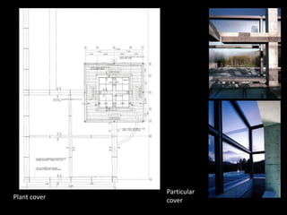 Particular
coverPlant cover
 