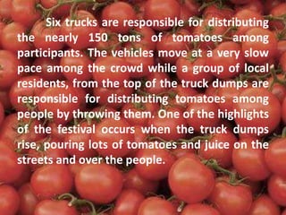 Six trucks are responsible for distributing
the nearly 150 tons of tomatoes among
participants. The vehicles move at a very slow
pace among the crowd while a group of local
residents, from the top of the truck dumps are
responsible for distributing tomatoes among
people by throwing them. One of the highlights
of the festival occurs when the truck dumps
rise, pouring lots of tomatoes and juice on the
streets and over the people.
 