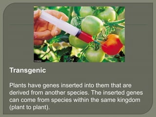 Genetic Manipulation and Host Plant Resistance | PPTX