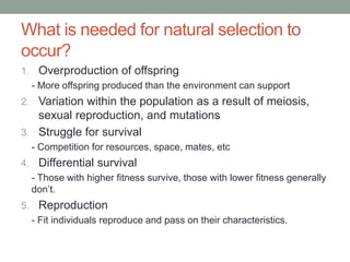 What is needed for natural selection to
occur?
1. Overproduction of offspring
- More offspring produced than the environment can support
2. Variation within the population as a result of meiosis,
sexual reproduction, and mutations
3. Struggle for survival
- Competition for resources, space, mates, etc
4. Differential survival
- Those with higher fitness survive, those with lower fitness generally
don’t.
5. Reproduction
- Fit individuals reproduce and pass on their characteristics.
 