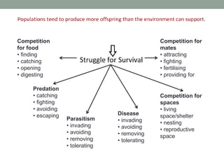 Competition
for food
• finding
• catching
• opening
• digesting
Predation
• catching
• fighting
• avoiding
• escaping
Parasitism
• invading
• avoiding
• removing
• tolerating
Disease
• invading
• avoiding
• removing
• tolerating
Competition for
mates
• attracting
• fighting
• fertilising
• providing for
Competition for
spaces
• living
space/shelter
• nesting
• reproductive
space
 