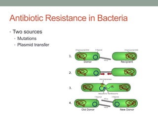 Antibiotic Resistance in Bacteria
• Two sources
• Mutations
• Plasmid transfer
 
