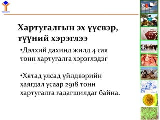 ИМПОРТЫН МАХАНД ХАРТУГАЛГА ТОДОРХОЙЛСОН ДҮНГЭЭС | PPT