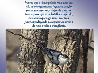Mesmo que a vida o golpeie mais uma vez,
não se entreguenunca, faça uma oração,
ponha sua esperança na frente e avance.
Não se preocupe se na batalha seja ferido,
é esperado que algo assimaconteça.
Junteos pedaços de sua esperança, arme-a
de novoe voltea ir em frente.
 
