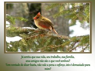 Já sentiu que sua vida, seu trabalho, sua família,
seus amigos não são o que vocêsonhou?
Temvontade de dizer basta, não vale a pena o esforço, isto é demasiadopara
mim?
 