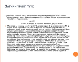ЗАГИЙН ҮРИЙГ ТҮҮХ
Дунд насны заган ой бусад насны ойгоос илүү хэмжээний үрийг өгнө. Загийн
насыг практикт залуу мөчрийн зангилааг тоолох буюу хөгшин модонд дараахи
томьёогоор тодорхойлно.
А=Н/Х
А-нас, Н- өндөр, Х- сүүлийн 3 жилийн дундаж өсөлт
 Манай орны нөхцөлд загийн үрийг 10 дугаар сарын 2 –р хагасаас эхлэн 11 –р
сарын эхний хагаст багтаан түүх ба хугацаа хожимдвол үр унаж нөөц нь
хомсдоно. Үрийг өглөө оройн салхигүй тогтуун үед түүх нь тохиромжтой. Болц
гүйцсэн үрийн дэвүүр нь шаргалтан голд нь байрласан хөврөлийн хэсэг
бараантаж ирэх бөгөөд түүнийг шахаж үзэхэд шүүсгүй болсон байна. манай
орны одоогийн нөхцөлд үр түүх модныхоо ишийг тойруулан 3-4 м дэвсгэр
дэвсэн үр бүхий мөчрийг доргиох аргаар үрийг шууд түүж байна. ингэж түүхэд
нэг хүний өдрийн бүтээл 40-50кг байна. түүж бэлтгэсэн үрийг 10-15 кг аар нь
шуудайлан амыг нь боогоод, уутны гаднаас нухаж шигшүүрээр шигшиж үрийг
цэвэрлэнэ. Ингэж цэвэрлэсэн үрийн цэвэршил 40-50% байна. цэвэрлэсэн
үрийг хадгалахын өмнө 14% ийн харьцангуй чийгтэй болтол хатаана. Түүж
бэлтгэсэн үрийг тариалах хүртэл хугацаанд нэвт салхитай сайтар
агааржуулагдсан сэрүүн байранд шалнаас дээш тавиурт 0,3 м зузаантайгаар
нуруулдан хадгална. Хадгалах байрны температур нь -5 +5 байх бөгөөд
байнга хутгаж эргүүлж байна загийн үр хадгалалт муу даадаг тул жил өнжөөж
тарих шаардлагатай бол 12-14% чийгшилтэйгээр нийлэг уутанд хадгална.
 