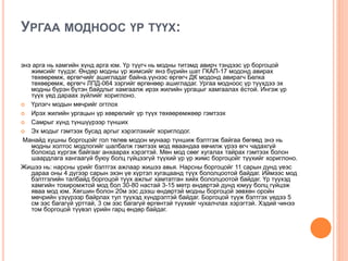УРГАА МОДНООС ҮР ТҮҮХ:
энэ арга нь хамгийн хүнд арга юм. Үр түүгч нь модны титэмд авирч тэндээс үр боргоцой
жимсийг түүдэг. Өндөр модны үр жимсийг янз бүрийн шат ГКАП-17 модонд авирах
төхөөрөмж, өргөгчийг ашигладаг байна.үүнээс өргөгч ДК модонд авирагч Белка
төхөөрөмж, өргөгч ЛПД-064 зэргийг өргөнөөр ашигладаг. Ургаа модноос үр түүхдээ эх
модны бүрэн бүтэн байдлыг хамгаалж ирэх жилийн ургацыг хамгаалах ёстой. Ингэж үр
түүх үед дараах зүйлийг хориглоно.
 Үрлэгч модын мөчрийг огтлох
 Ирэх жилийн ургацын үр хөврөлийг үр түүх төхөөрөмжөөр гэмтээх
 Самрыг хүнд түншүүрээр түнших
 Эх модыг гэмтээх бусад аргыг хэрэглэхийг хориглодог.
Манайд хушны боргоцойг гол төлөв модон мунаар түншиж бэлтгэж байгаа бөгөөд энэ нь
модны холтос модлогийг шалбалж гэмтээх мод яваандаа өвчилж үрээ өгч чадахгүй
болоход хүргэж байгааг анхаарах хэрэгтэй. Мөн мод сөөг хугалах тайрах гэмтээх болон
шаардлага хангаагүй буюу болц гүйцээгүй түүхий үр үр жимс боргоцойг түүхийг хориглоно.
Жишээ нь: нарсны үрийг бэлтгэх ажлаар жишээ авья. Нарсны боргоцойг 11 сарын дунд үеэс
дараа оны 4 дүгээр сарын эхэн үе хүртэл хугацаанд түүх бололцоотой байдаг. Иймээс мод
бэлтгэлийн талбайд боргоцой түүх ажлыг хамтатган хийх бололцоотой байдаг. Үр түүхэд
хамгийн тохиромжтой мод бол 30-80 настай 3-15 метр өндөртэй дунд юмуу болц гүйцэж
яваа мод юм. Хөгшин болон 20м ээс дээш өндөртэй модны боргоцой зөвхөн оройн
мөчрийн үзүүрээр байрлах тул түүхэд хүндрэлтэй байдаг. Боргоцой түүж бэлтгэх үедээ 5
см ээс багагүй урттай, 3 см ээс багагүй өргөнтэй түүхийг чухалчлах хэрэгтэй. Хэдий чинээ
том боргоцой түүвэл үрийн гарц өндөр байдаг.
 