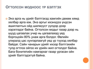 ОГТОЛСОН МОДНООС ҮР БЭЛТГЭХ
 Энэ арга нь үрийг бэлтгэхэд хамгийн дөхөм хямд
хялбар арга юм. Энэ аргыг ихэнхдээ үндсэн
ашиглалтын ойд шилмүүст үүлдэр дээр
хэрэглэдэг байна. Огтолсон модыг газар дээр нь
шууд цагаалах учир нь цагаалахад үед
боргоцойн 80% унаж арга болдог. Өвлийн
улиралд цас хунгарлаагүй үед үр түүхэд хялбар
байдаг. Сайн чанарын үрийг ихээр бэлтгэхийн
тулд огтлох ойгоо их үрийн жил огтолдог байна.
Бага бонитетийн намгархаг газар ургасан ойн
үрийг бэлтгэдэггүй байна.
 