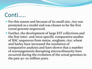 Conti…..
 For this reason and because of its small size, rice was
promoted as a model and was chosen to be the first
cereal genome sequenced.
 Further, the development of large EST collections and
the first inter- and intra-specific comparative studies
of BAC sequences from maize, sorghum, rice, wheat
and barley have increased the resolution of
comparative analyses and have shown that a number
of rearrangements disrupting microcolinearity have
occurred during the evolution of the cereal genomes in
the past 50–70 million years.
 