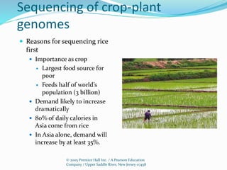 © 2005 Prentice Hall Inc. / A Pearson Education
Company / Upper Saddle River, New Jersey 07458
Sequencing of crop-plant
genomes
 Reasons for sequencing rice
first
 Importance as crop
 Largest food source for
poor
 Feeds half of world’s
population (3 billion)
 Demand likely to increase
dramatically
 80% of daily calories in
Asia come from rice
 In Asia alone, demand will
increase by at least 35%.
 