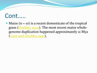 Cont…..
 Maize (n = 10) is a recent domesticate of the tropical
grass (Doebley 2004). The most recent maize whole-
genome duplication happened approximately 12 Mya
(Gaut and Doebley 1997).
 