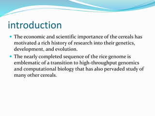 introduction
 The economic and scientific importance of the cereals has
motivated a rich history of research into their genetics,
development, and evolution.
 The nearly completed sequence of the rice genome is
emblematic of a transition to high-throughput genomics
and computational biology that has also pervaded study of
many other cereals.
 