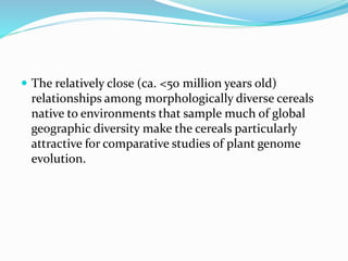  The relatively close (ca. <50 million years old)
relationships among morphologically diverse cereals
native to environments that sample much of global
geographic diversity make the cereals particularly
attractive for comparative studies of plant genome
evolution.
 