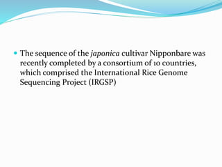  The sequence of the japonica cultivar Nipponbare was
recently completed by a consortium of 10 countries,
which comprised the International Rice Genome
Sequencing Project (IRGSP)
 