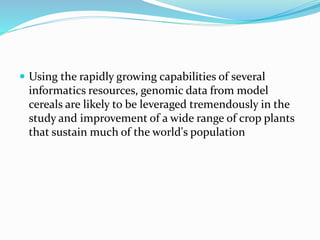  Using the rapidly growing capabilities of several
informatics resources, genomic data from model
cereals are likely to be leveraged tremendously in the
study and improvement of a wide range of crop plants
that sustain much of the world's population
 