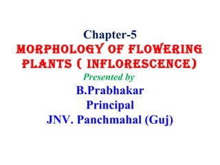 Chapter-5
Morphology of flowering
plants ( infloresCenCe)
Presented by
B.Prabhakar
Principal
JNV. Panchmahal (Guj)
 