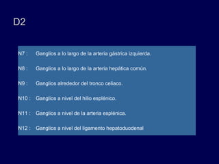 D2
N7 : Ganglios a lo largo de la arteria gástrica izquierda.
N8 : Ganglios a lo largo de la arteria hepática común.
N9 : Ganglios alrededor del tronco celiaco.
N10 : Ganglios a nivel del hilio esplénico.
N11 : Ganglios a nivel de la arteria esplénica.
N12 : Ganglios a nivel del ligamento hepatoduodenal
 