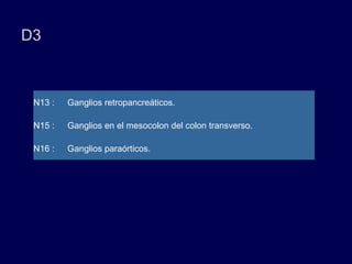 D3
N13 : Ganglios retropancreáticos.
N15 : Ganglios en el mesocolon del colon transverso.
N16 : Ganglios paraórticos.
 
