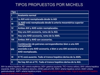 TIPOS PROPUESTOS POR MICHELS
Tipo
I Anatomía normal
II La AHI está reemplazada desde la AGI
III La AHD está reemplazada desde la arteria mesentérica superior
(AMS).
IV Ambas AHI y AHD están reemplazadas.
V Hay una AHI accesoria, rama de la AGI.
VI Hay una AHD accesoria, rama de la AMS.
VII Ambas AHI y AHD son accesorias.
VIII
Combinación de patrones correspondientes bien a una AHI
reemplazada
asociada a una AHD accesoria, o bien a una AHI accesoria y una
AHD reemplazada.
IX El TC está ausente. Todo el tronco hepático deriva de la AMS.
X No hay AH en el TC. Todo el tronco hepático deriva de la AGI.
AH= la arteria hepática, AE= arteria esplénica, AGI= gástrica izquierda, TrC= tronco celíaco, AHI= arteria hepática
izquierda, AHD= arteria hepática derecha. (AHD) para el LHD. AHC= arteria hepática común. AGD= arteria
gastroduodenal , AHP= arteria hepática propia. Existe una arteria hepática media, irriga el segmento IV hepático
nace de la AHD como de la AHI (1/1).
 