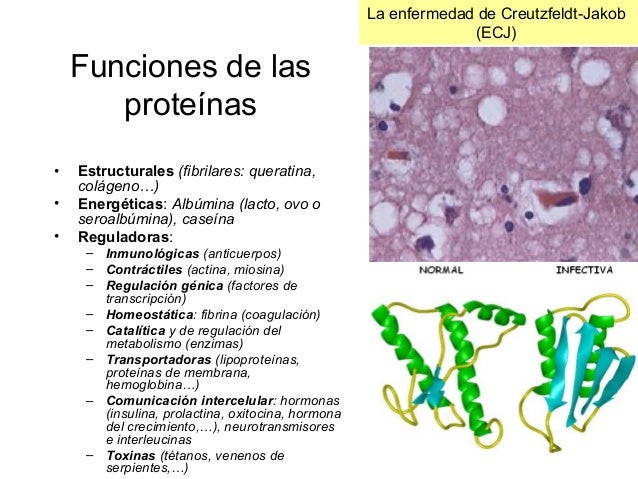 que es la tasa de metabolismo basal con el estrés