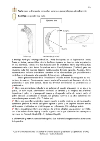 Guía de Consultas Botánica II. Facultad de Ciencias Exactas y Naturales y Agrimensura (UNNE)
ROSIDAE-Fabales-Fabaceae
326
Fruto: seco y dehiscente por ambas suturas, a veces folicular o indehiscente.
Semillas: con corto funí culo.
2. Biología floral y/o Fenología (Burkart, 1952): la mayorí a de las leguminosas tienen
flores perfectas y entomófilas, siendo los himenópteros los insectos más importantes
en esta actividad. También se han hallado casos de ornitofilia. Flores imperfectas han
sido encontradas como forma derivada en varias Caesalpinioideas (Gleditsia), pero sin
embargo cada flor muestra órganos rudimentarios del sexo opuesto. Además, flores
neutras fueron halladas entre flores normales en las Mimosoideas, que probablemente
contribuyen únicamente a la atracción de los agentes polinizantes.
Existe predominancia de la fecundación cruzada, si bien la autogamia no está
totalmente ausente. Comúnmente ocurre maduración sucesiva de los sexos, siendo la
protandria el caso más común. Entre los diversos mecanismos de polinización se
pueden citar:
!"Flores con mecanismo valvular o de palanca: el insecto al posarse en las alas y la
quilla, las hace bajar, apareciendo entonces las anteras y el estigma; las primeras
depositan el polen en el cuerpo del insecto y el segundo recibe, del mismo modo el
polen extraño. Al retirarse el insecto, los pétalos vuelven a su sitio, cubriendo de
nuevo los órganos sexuales (Ej.: Trifolium sp.).
!"Flores con desenlace explosivo: ocurre cuando la quilla encierra las piezas sexuales
ejerciendo presión. La visita del agente aparta la quilla y los órganos sexuales saltan
súbitamente poniéndose en posición para ser polinizados (Ej.: Medicago sativa).
!"Flores resupinadas: flores que durante la antesis adoptan una posición invertida,
con el estandarte hacia abajo y la quilla erguida, con lo que obtienen cierta semejanza
externa a las flores de Salvia (Ej.: Erythrina crista-galli).
3. Distribución y Hábitat: familia cosmopolita con numerosos representantes nativos en
la Argentina.
Tipuana tipa
Detalle del gineceo
Estigma
Fruto
Estambres
Ovario
 