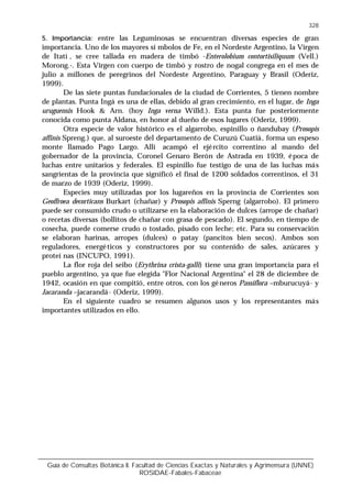Guía de Consultas Botánica II. Facultad de Ciencias Exactas y Naturales y Agrimensura (UNNE)
ROSIDAE-Fabales-Fabaceae
328
5. Importancia: entre las Leguminosas se encuentran diversas especies de gran
importancia. Uno de los mayores sí mbolos de Fe, en el Nordeste Argentino, la Virgen
de Itatí , se cree tallada en madera de timbó -Enterolobium contortisiliquum (Vell.)
Morong.-. Esta Virgen con cuerpo de timbó y rostro de nogal congrega en el mes de
julio a millones de peregrinos del Nordeste Argentino, Paraguay y Brasil (Oderiz,
1999).
De las siete puntas fundacionales de la ciudad de Corrientes, 5 tienen nombre
de plantas. Punta Ingá es una de ellas, debido al gran crecimiento, en el lugar, de Inga
uruguensis Hook & Arn. (hoy Inga verna Willd.). Esta punta fue posteriormente
conocida como punta Aldana, en honor al dueño de esos lugares (Oderiz, 1999).
Otra especie de valor histórico es el algarrobo, espinillo o ñandubay (Prosopis
affinis Spreng.) que, al suroeste del departamento de Curuzú Cuatiá, forma un espeso
monte llamado Pago Largo. Allí acampó el ejército correntino al mando del
gobernador de la provincia, Coronel Genaro Berón de Astrada en 1939, época de
luchas entre unitarios y federales. El espinillo fue testigo de una de las luchas más
sangrientas de la provincia que significó el final de 1200 soldados correntinos, el 31
de marzo de 1939 (Oderiz, 1999).
Especies muy utilizadas por los lugareños en la provincia de Corrientes son
Geoffroea decorticans Burkart (chañar) y Prosopis affinis Sperng (algarrobo). El primero
puede ser consumido crudo o utilizarse en la elaboración de dulces (arrope de chañar)
o recetas diversas (bollitos de chañar con grasa de pescado). El segundo, en tiempo de
cosecha, puede comerse crudo o tostado, pisado con leche; etc. Para su conservación
se elaboran harinas, arropes (dulces) o patay (pancitos bien secos). Ambos son
reguladores, energéticos y constructores por su contenido de sales, azúcares y
proteí nas (INCUPO, 1991).
La flor roja del seibo (Erythrina crista-galli) tiene una gran importancia para el
pueblo argentino, ya que fue elegida "Flor Nacional Argentina" el 28 de diciembre de
1942, ocasión en que compitió, entre otros, con los géneros Passiflora –mburucuyá- y
Jacaranda –jacarandá- (Oderiz, 1999).
En el siguiente cuadro se resumen algunos usos y los representantes más
importantes utilizados en ello.
 