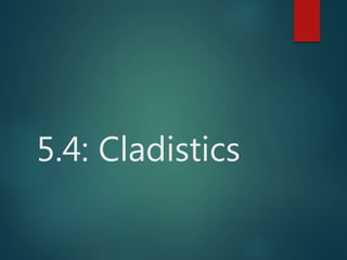 5.4: Cladistics
 