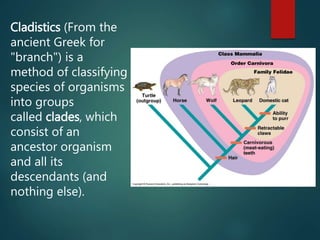Cladistics (From the
ancient Greek for
"branch") is a
method of classifying
species of organisms
into groups
called clades, which
consist of an
ancestor organism
and all its
descendants (and
nothing else).
 