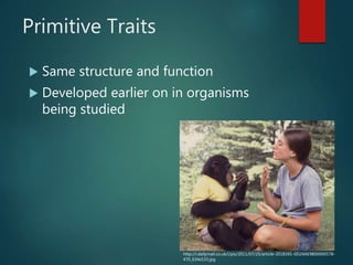 Primitive Traits
 Same structure and function
 Developed earlier on in organisms
being studied
http://i.dailymail.co.uk/i/pix/2011/07/25/article-2018391-0D24AE9B00000578-
470_634x533.jpg
 