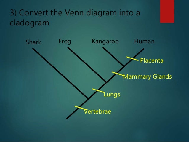 5.4 cladistics student copy kangaroo cells diagram 