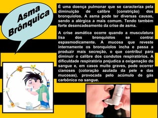 É uma doença pulmonar que se caracteriza pela
diminuição de calibre (constrição) dos
bronquíolos. A asma pode ter diversas causas,
sendo a alérgica a mais comum. Tendo também
forte desencadeamento da crise de asma.
A crise asmática ocorre quando a musculatura
lisa dos bronquíolos se contrai
espasmodicamente. A mucosa que reveste
internamente os bronquíolos incha e passa a
produzir mais secreção, o que contribui para
diminuir o calibre dos condutos respiratórios. A
dificuldade respiratória prejudica a oxigenação do
sangue e, em casos muito graves, pode ocorrer
cianoses (coloração azulada da pele e das
mucosas), provocada pelo acúmulo de gás
carbônico no sangue.
 