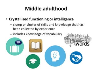Middle adulthood
• Crystallized functioning or intelligence
– clump or cluster of skills and knowledge that has
been collected by experience
– includes knowledge of vocabulary
 